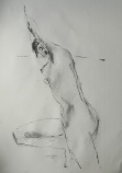 heidi-15.JPG